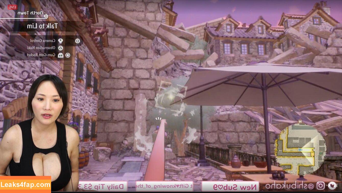 Kaho Shibuya / Shibukaho слитое фото фото #1160