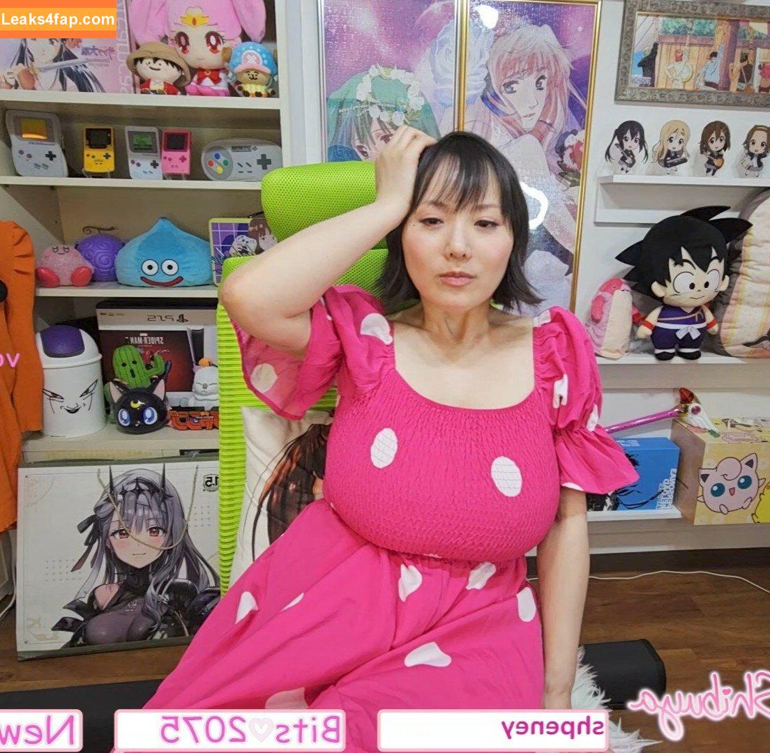 Kaho Shibuya / Shibukaho слитое фото фото #1955