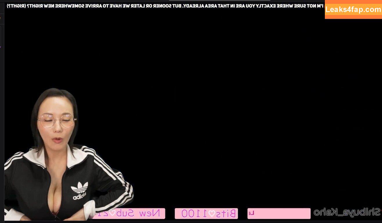 Kaho Shibuya / Shibukaho leaked photo photo #2842