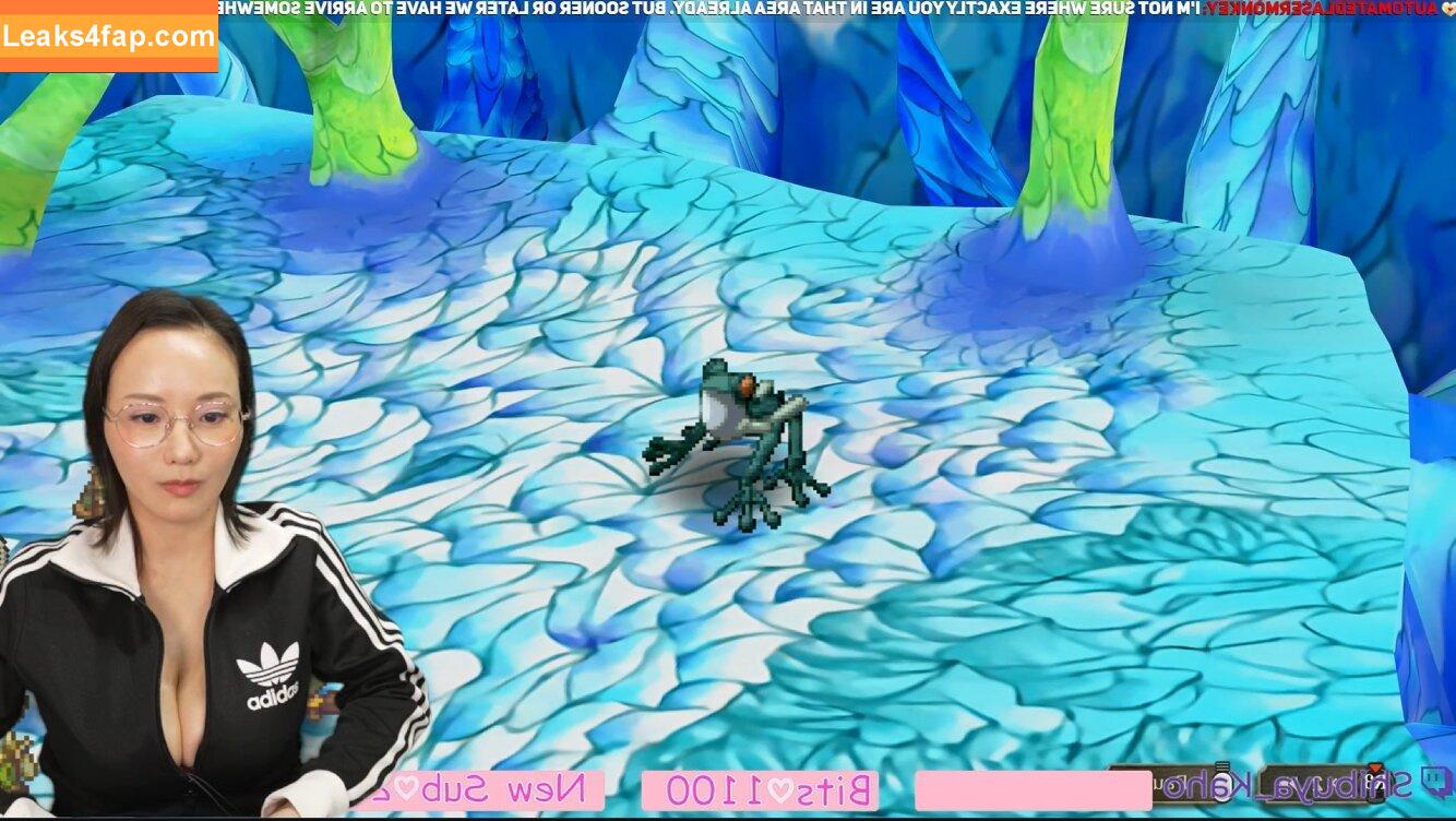 Kaho Shibuya / Shibukaho leaked photo photo #2845