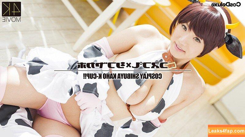 Kaho Shibuya / Shibukaho leaked photo photo #2851