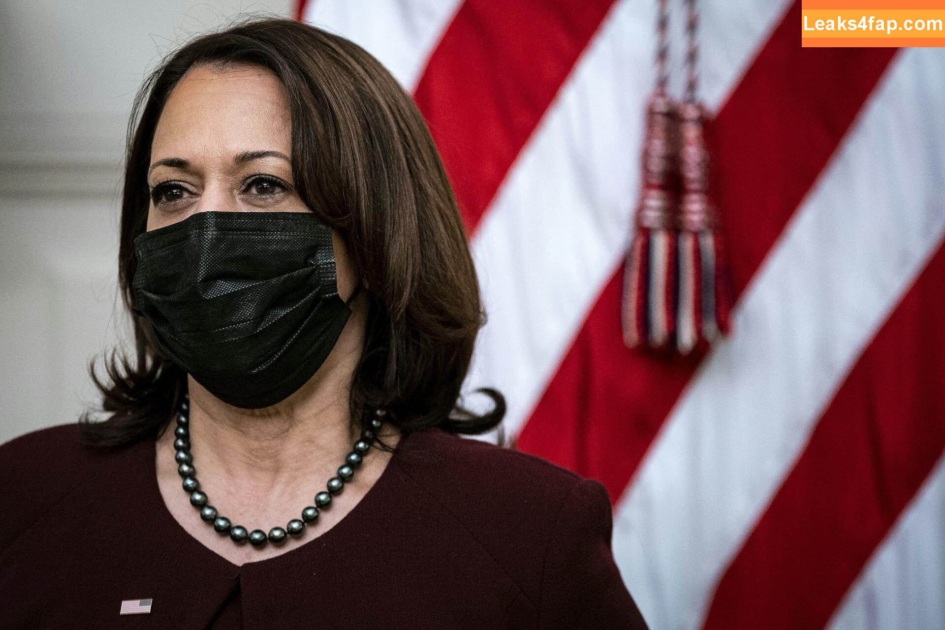 Kamala Harris /  слитое фото фото #0017