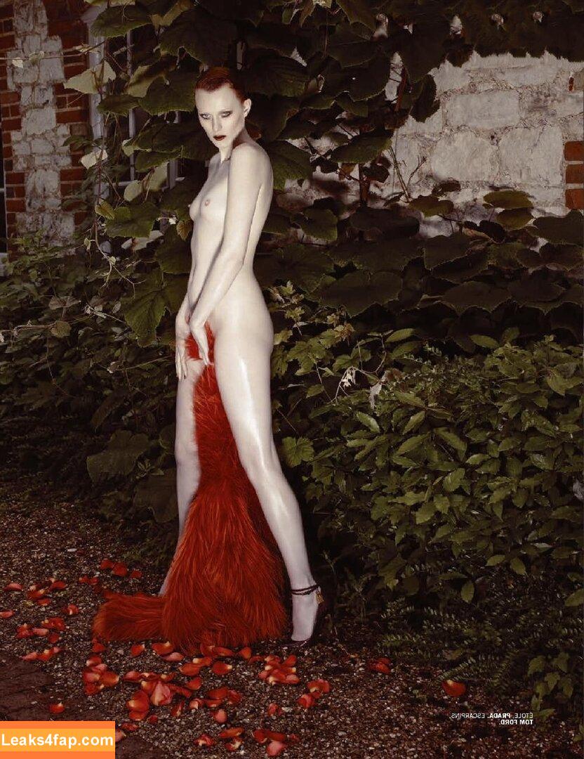 Karen Elson / misskarenelson слитое фото фото #0027