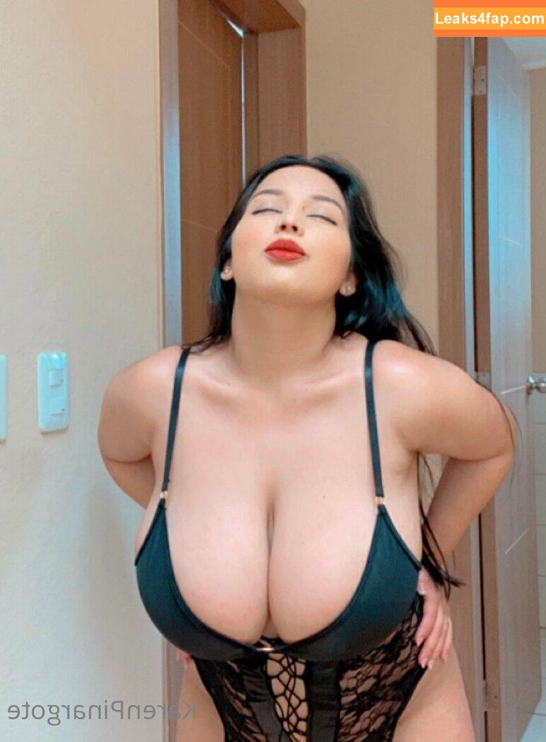Karen Pinargote Torres / karenpinargot19 / karenpinargote / marilynptorres leaked photo photo #0025