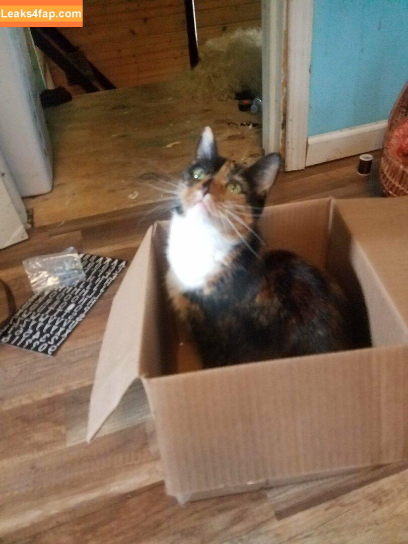 katcalico /  leaked photo photo #0014