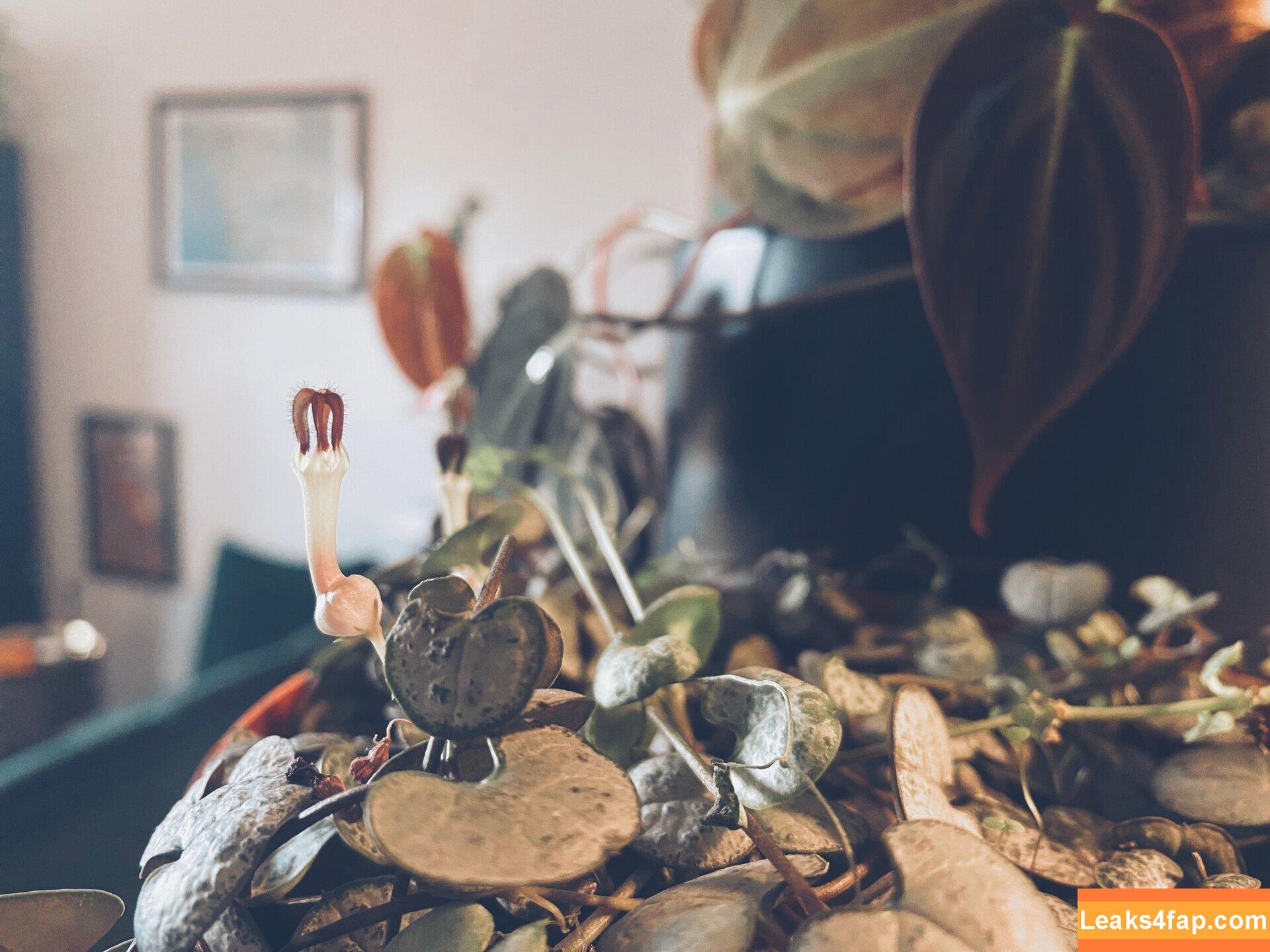 katebunnyrabbit / ___katerabbit___ leaked photo photo #0002