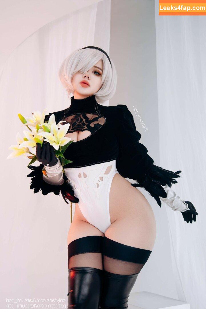 Katsumi Tori / katsumi_tori leaked photo photo #0006
