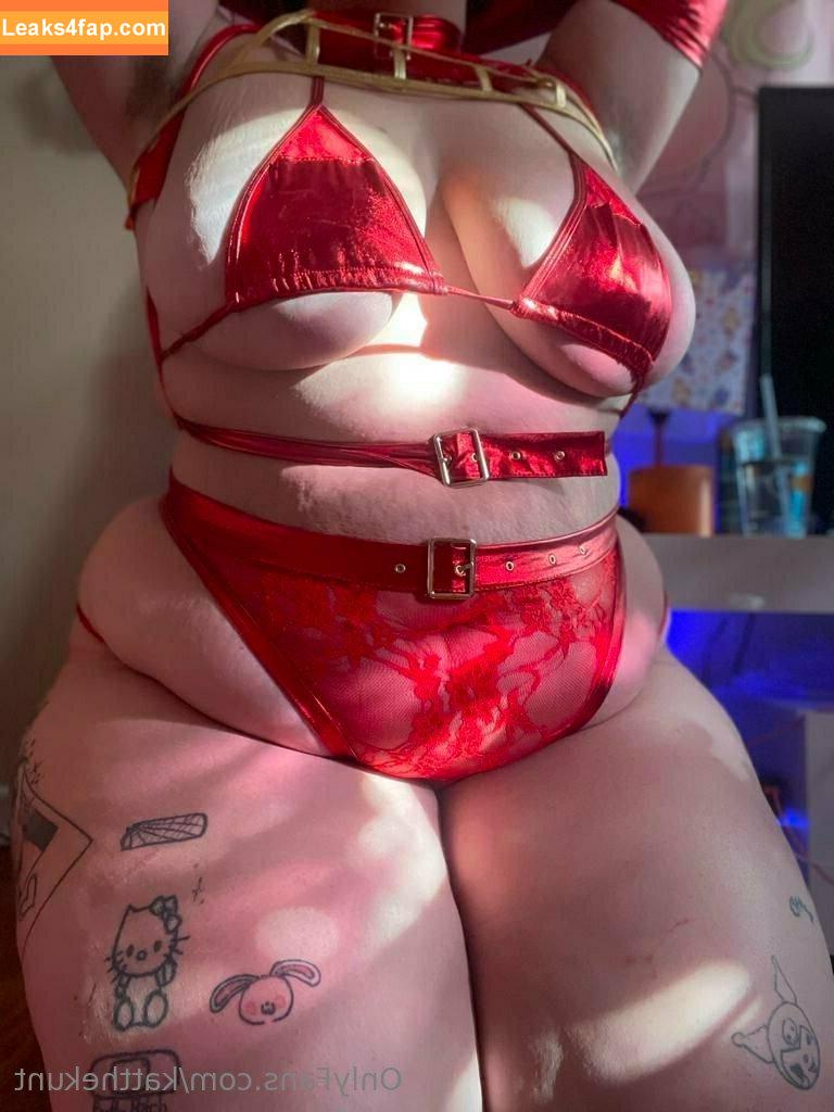 KatTheKunt / katthemilfykunt leaked photo photo #0402