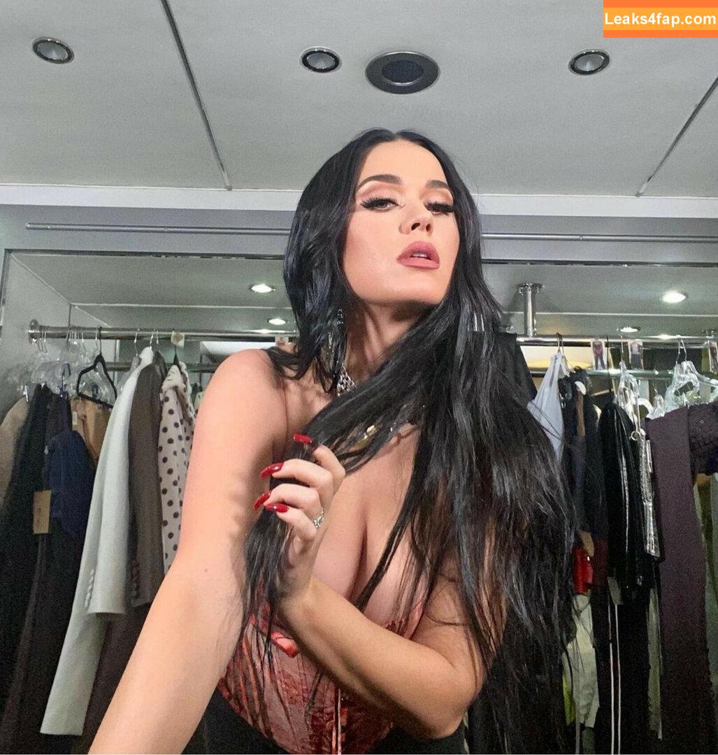 Katy Perry / katyperry leaked photo photo #0039