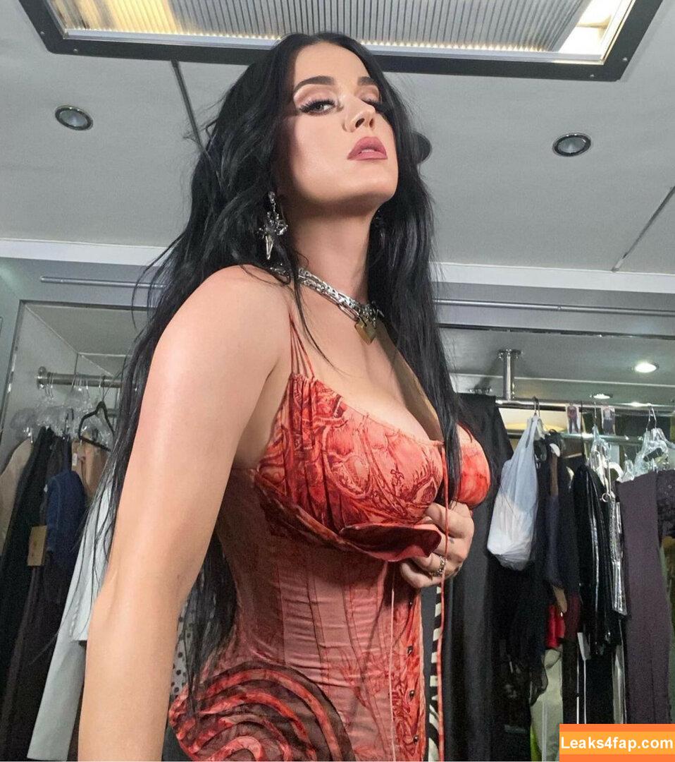 Katy Perry / katyperry leaked photo photo #0040