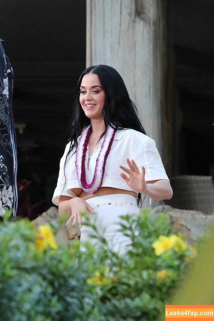 Katy Perry / katyperry leaked photo photo #0090