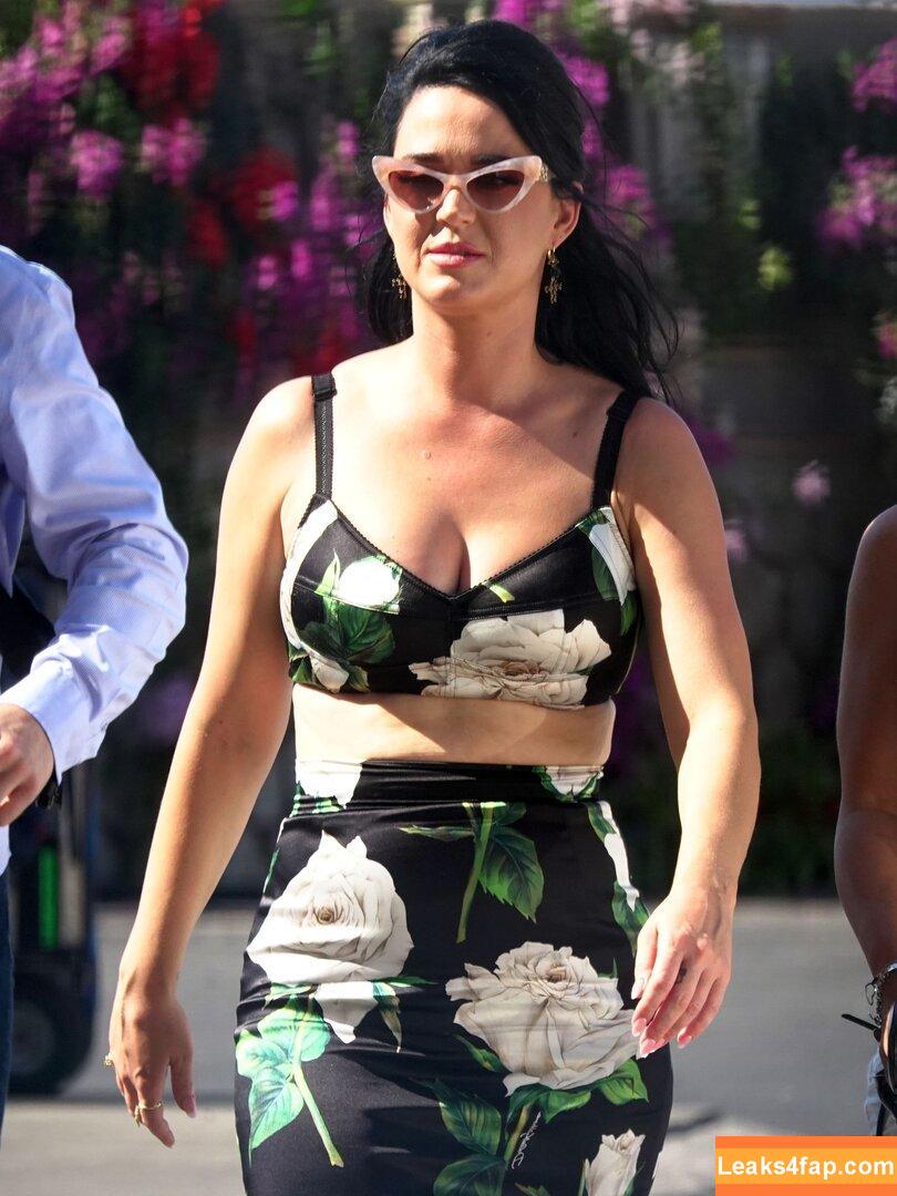 Katy Perry / katyperry leaked photo photo #0149