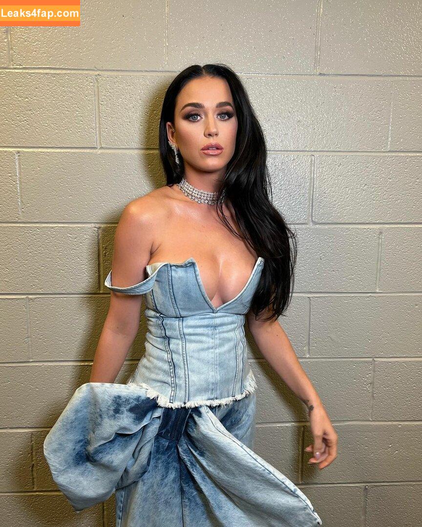 Katy Perry / katyperry leaked photo photo #0219