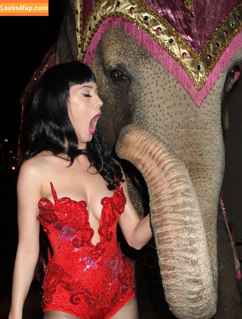 Katy Perry / katyperry leaked photo photo #0292