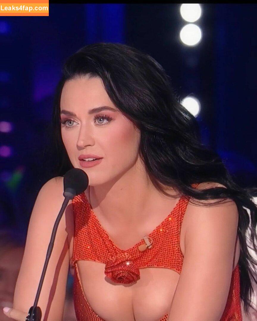 Katy Perry / katyperry leaked photo photo #0401