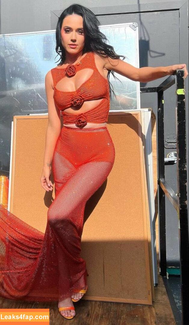 Katy Perry / katyperry leaked photo photo #0410