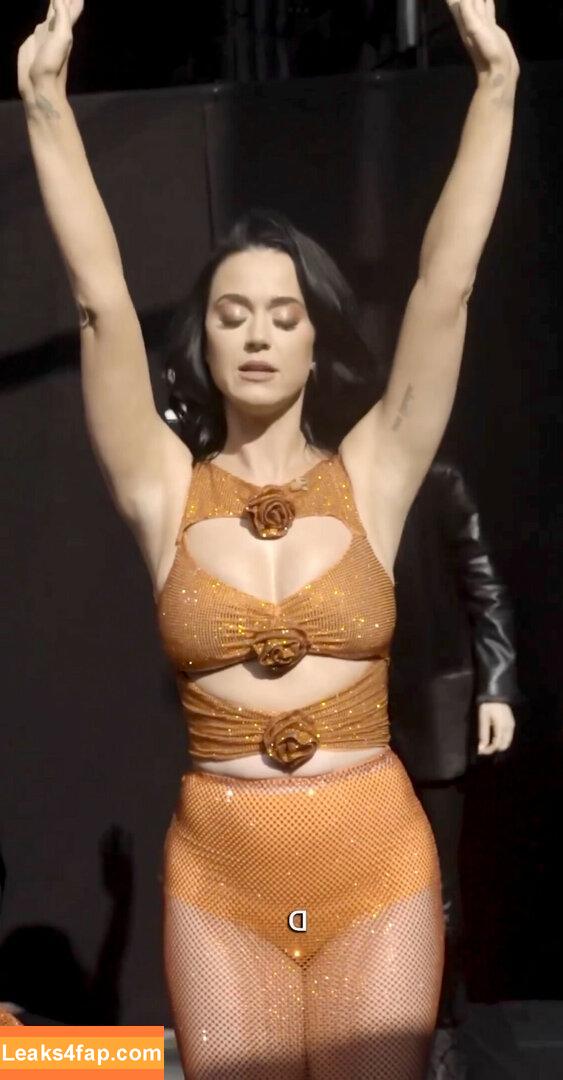 Katy Perry / katyperry leaked photo photo #0418