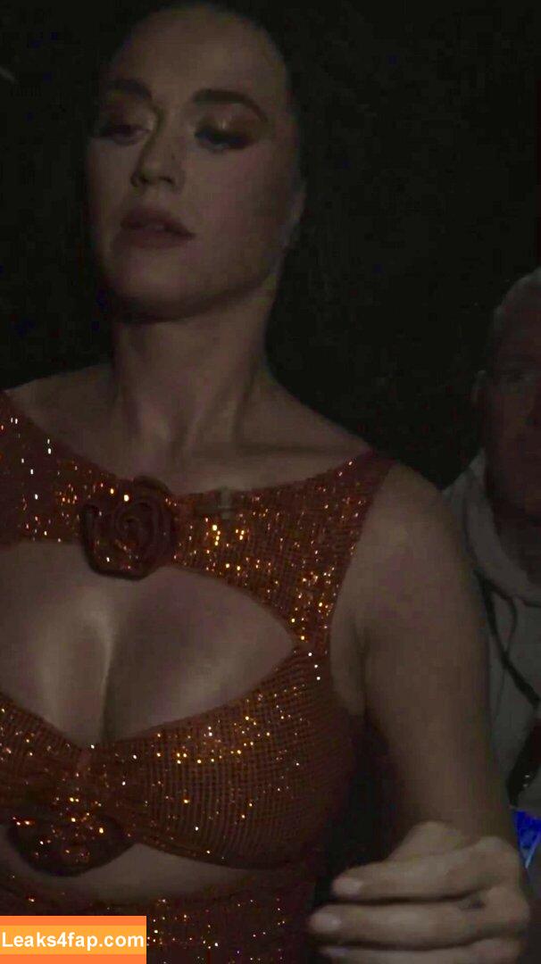 Katy Perry / katyperry leaked photo photo #0422