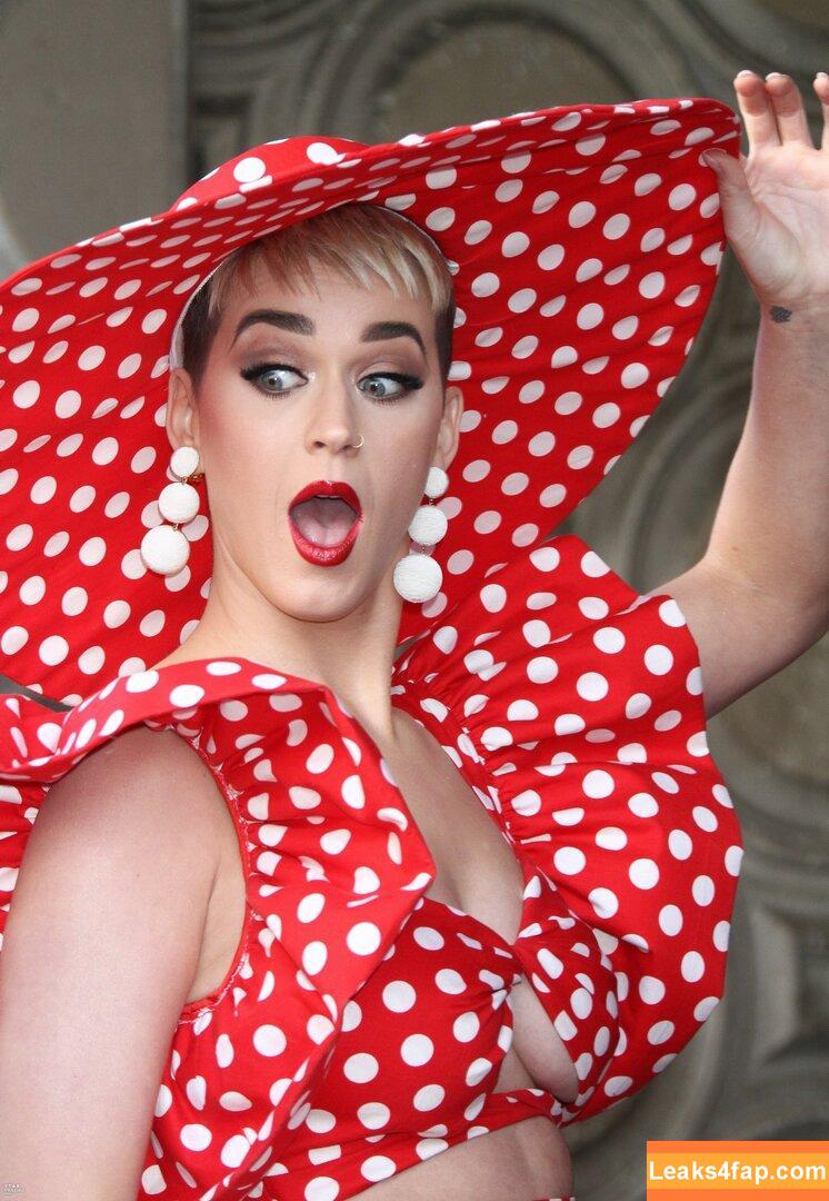Katy Perry / katyperry leaked photo photo #0497