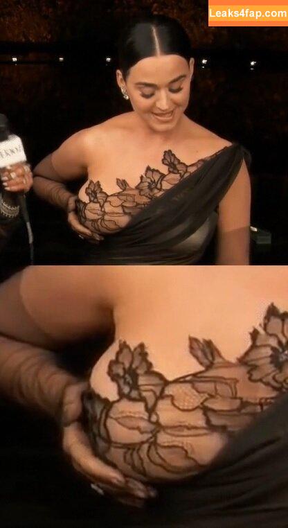 Katy Perry / katyperry leaked photo photo #0677