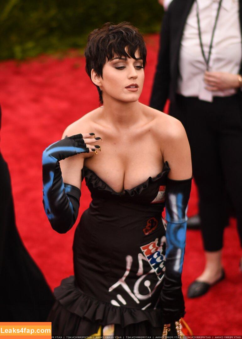 Katy Perry / katyperry leaked photo photo #0818