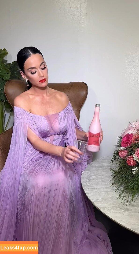Katy Perry / katyperry leaked photo photo #0897