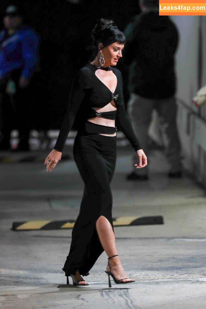 Katy Perry / katyperry слитое фото фото #0955