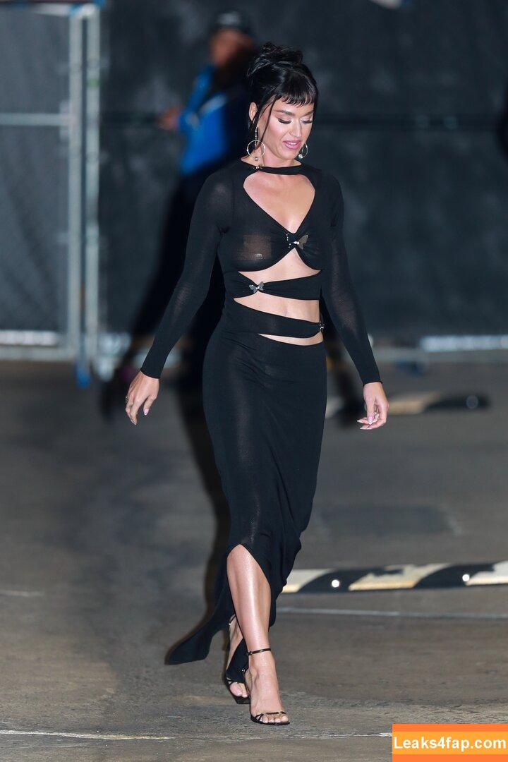 Katy Perry / katyperry leaked photo photo #0956