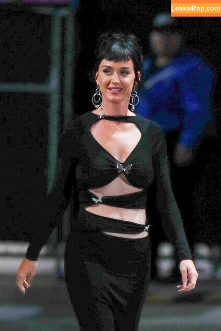 Katy Perry / katyperry leaked photo photo #0957