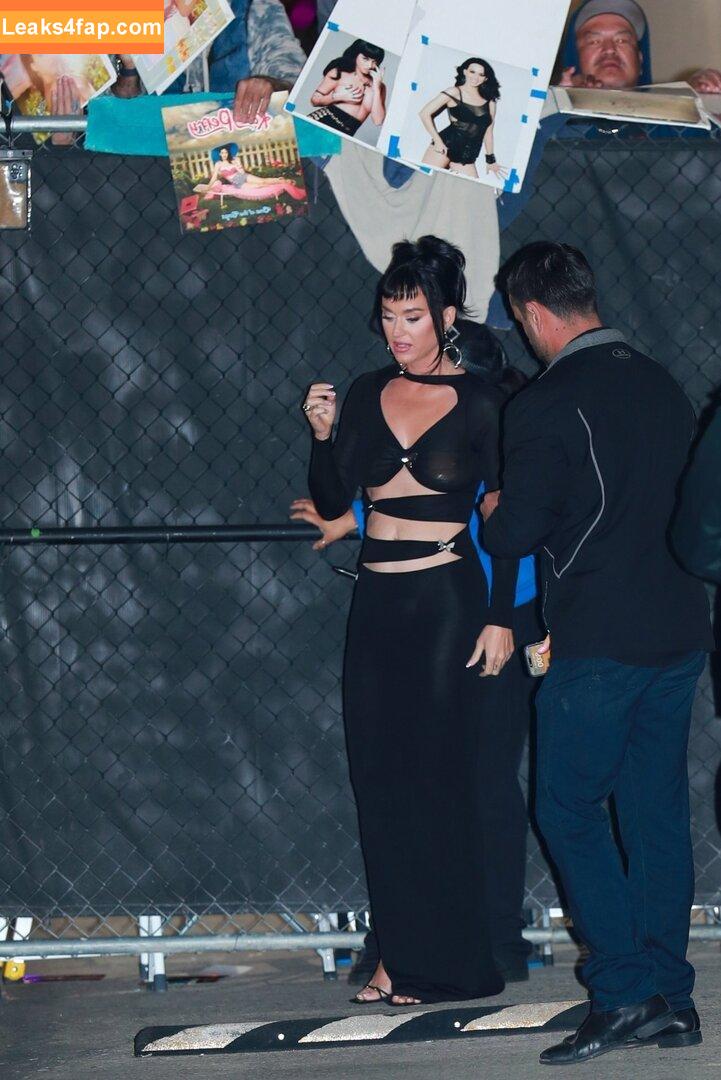 Katy Perry / katyperry leaked photo photo #0966