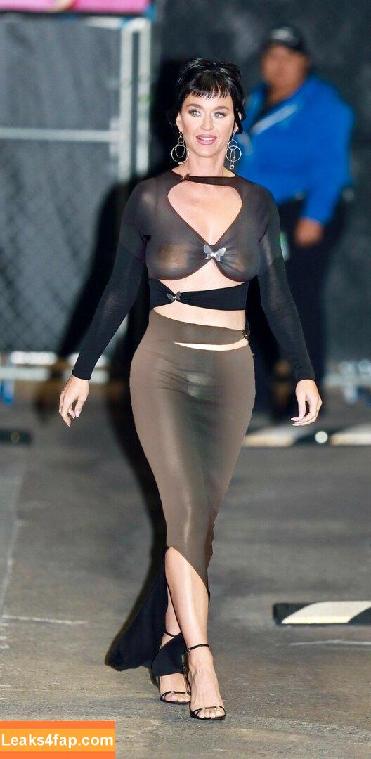 Katy Perry / katyperry leaked photo photo #0971