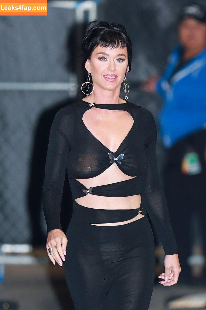 Katy Perry / katyperry leaked photo photo #0984