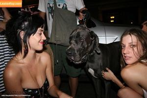 Katy Perry photo #0649