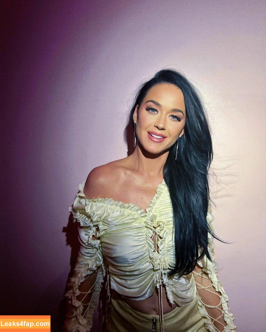 Katy Perry / katyperry leaked photo photo #1009