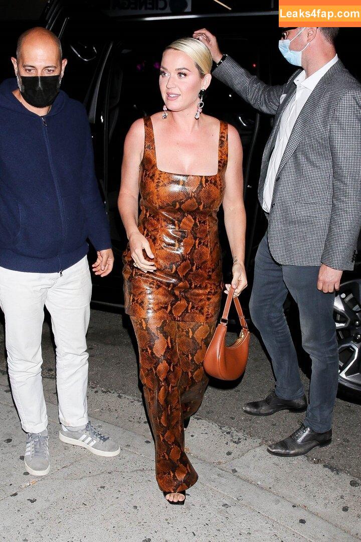 Katy Perry / katyperry leaked photo photo #1010