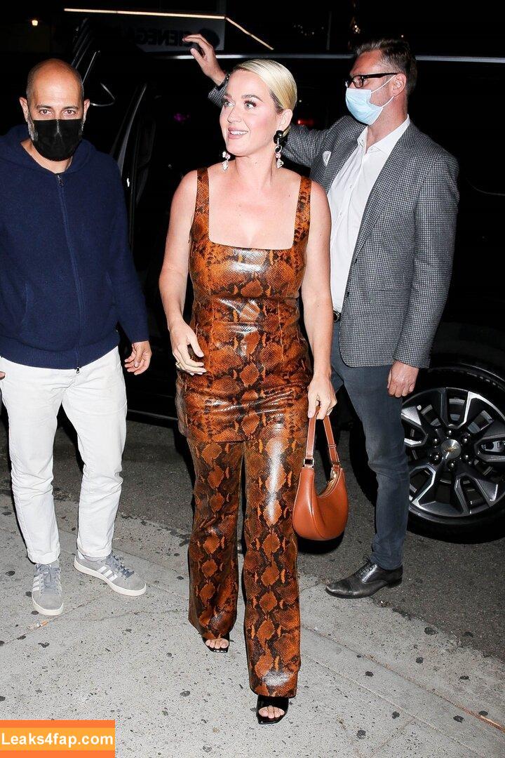 Katy Perry / katyperry leaked photo photo #1011
