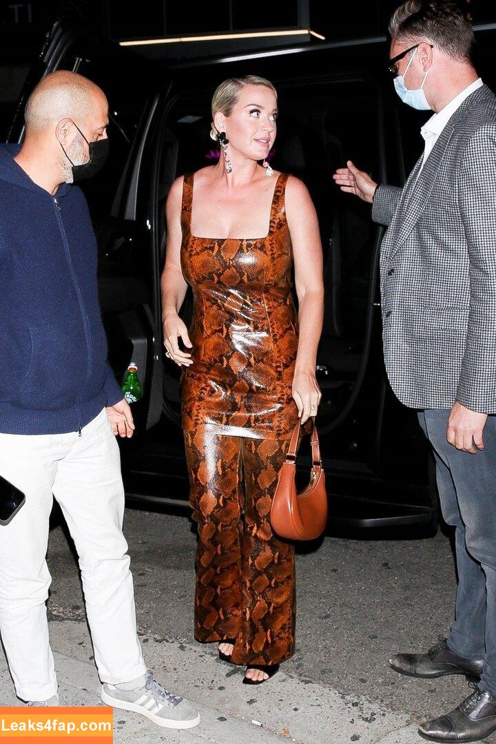 Katy Perry / katyperry leaked photo photo #1014