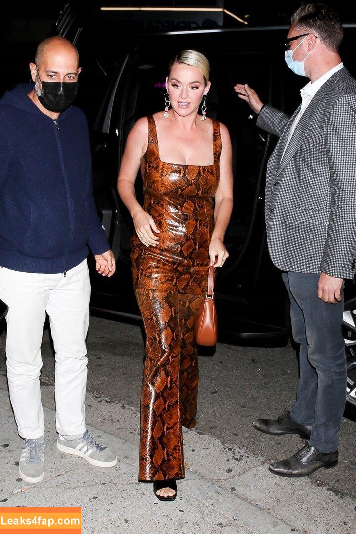 Katy Perry / katyperry leaked photo photo #1015