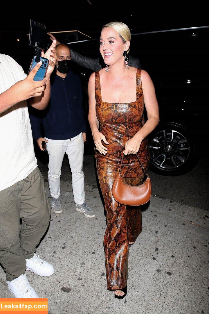 Katy Perry / katyperry leaked photo photo #1016