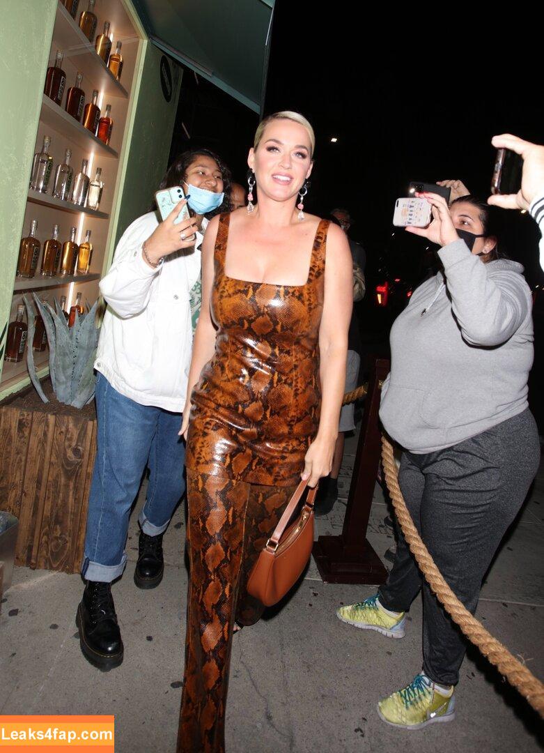 Katy Perry / katyperry leaked photo photo #1022