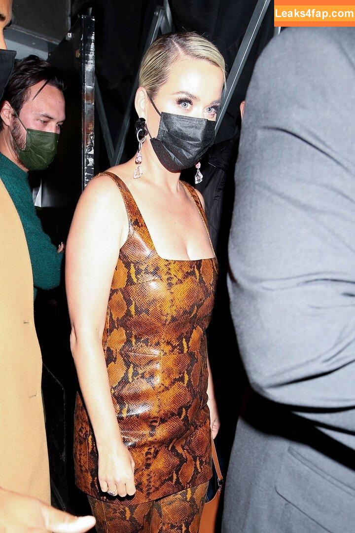 Katy Perry / katyperry leaked photo photo #1028