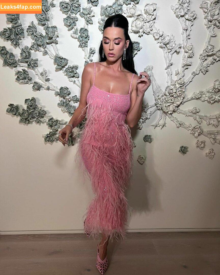 Katy Perry / katyperry leaked photo photo #1050