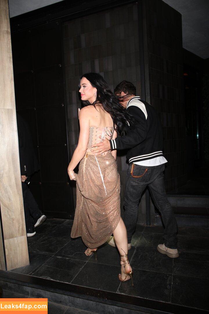 Katy Perry / katyperry leaked photo photo #1353