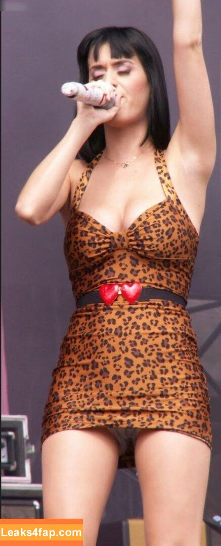 Katy Perry / katyperry leaked photo photo #1521