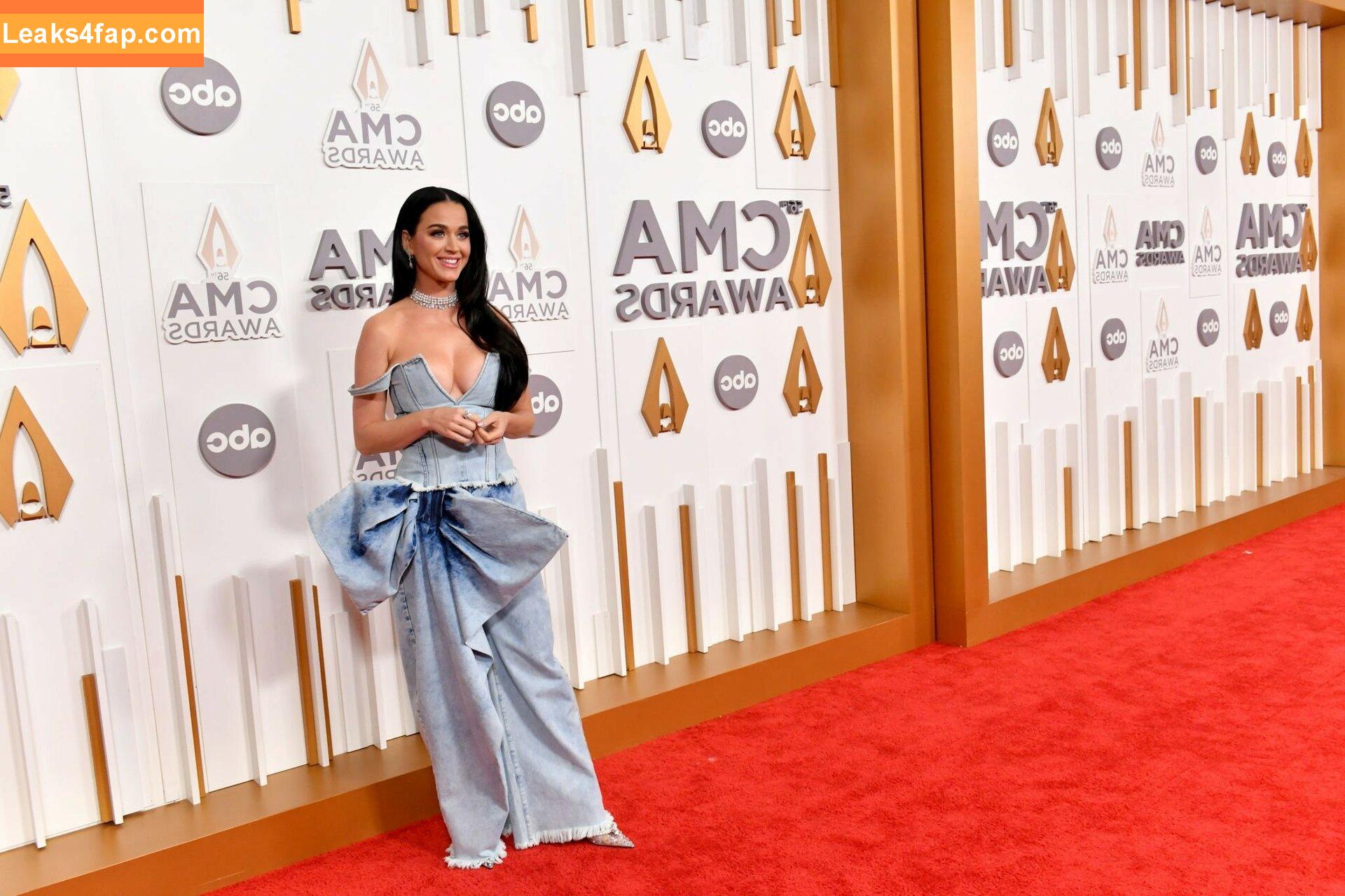 Katy Perry / katyperry leaked photo photo #1594