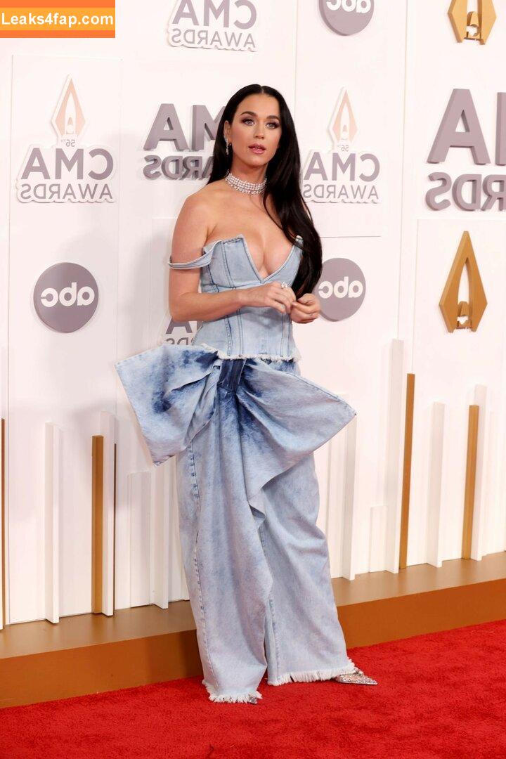Katy Perry / katyperry leaked photo photo #1602