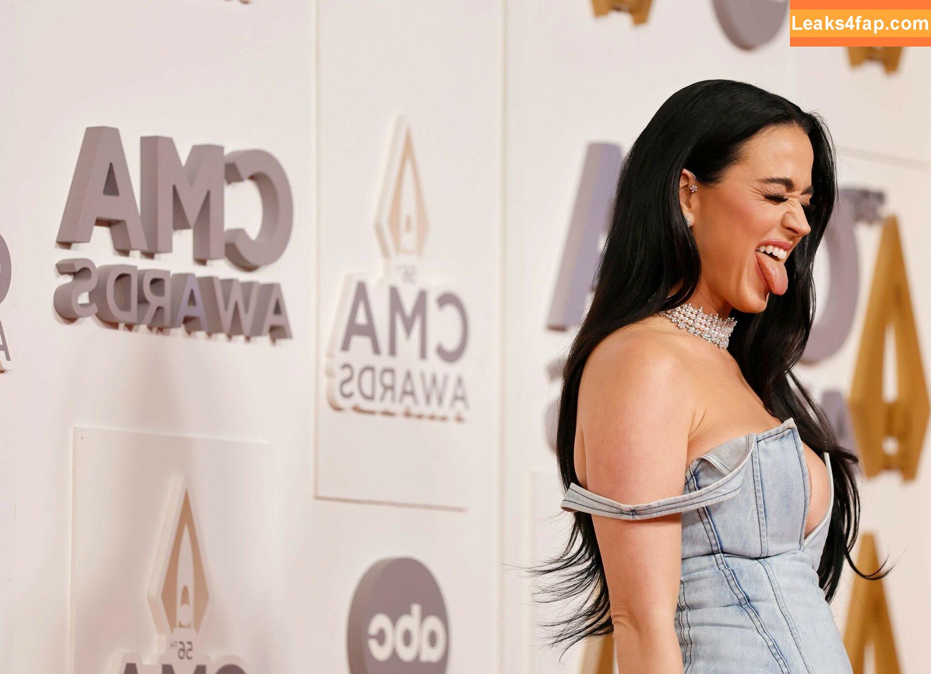 Katy Perry / katyperry leaked photo photo #1609