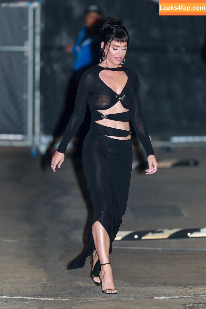 Katy Perry / katyperry leaked photo photo #1629