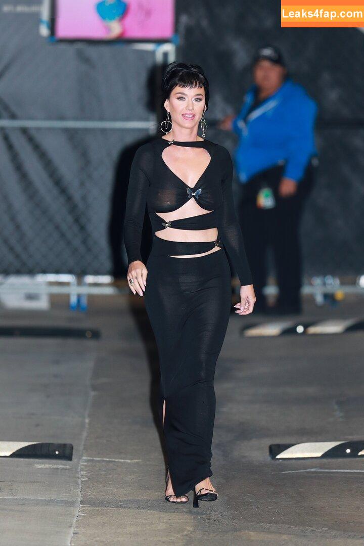 Katy Perry / katyperry leaked photo photo #1641