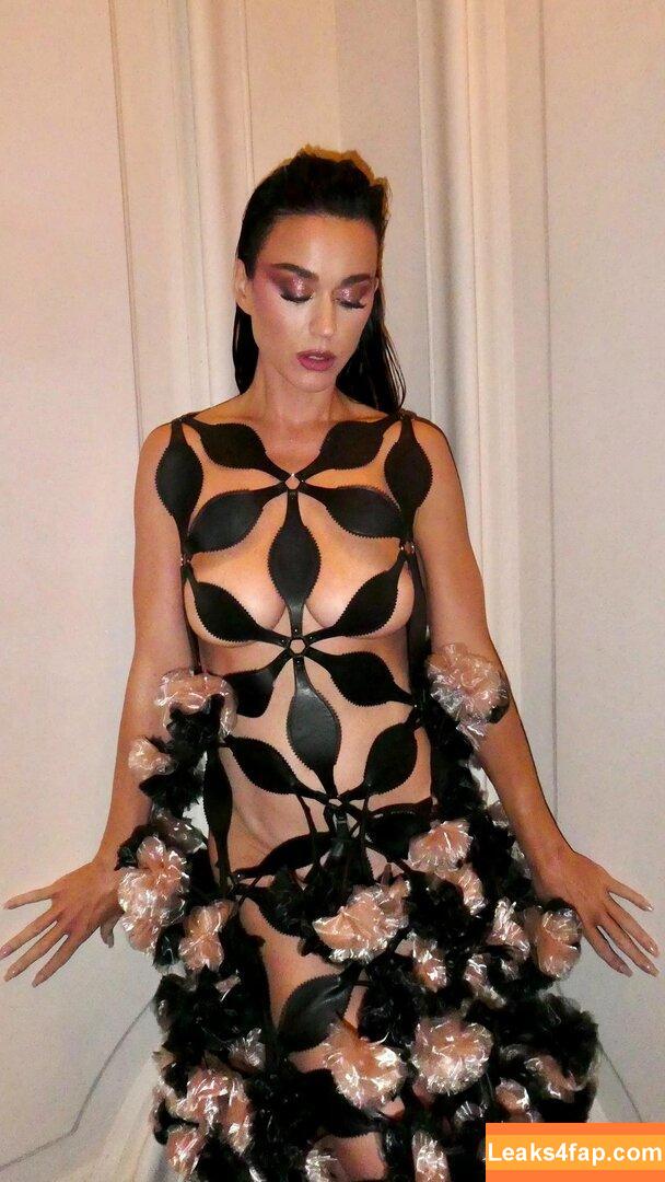 Katy Perry / katyperry leaked photo photo #1686